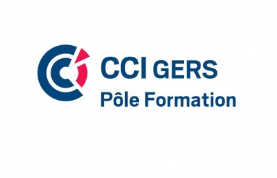 conseil web toulouse