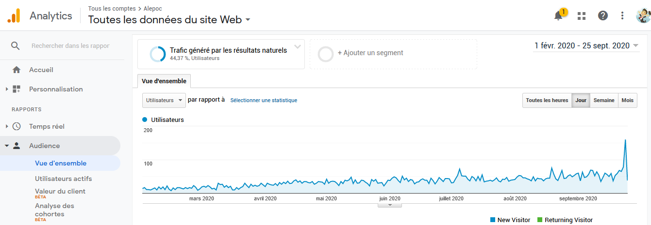 référencement site e commerce